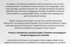 Sulik&oacute;w - Strona (11)