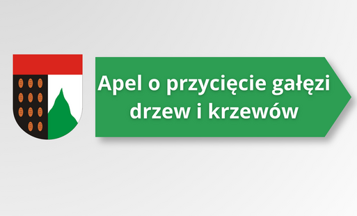 Zdjęcie do Apel o przycięcie gałęzi drzew i krzew&oacute;w