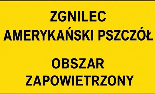 Zdjęcie do Zgnilec amerykański pszcz&oacute;ł