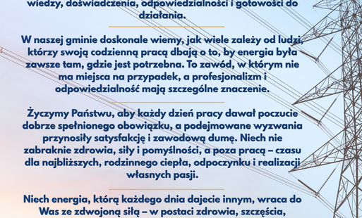 Zdjęcie do Dzień Energetyka