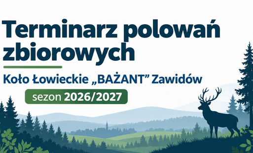 Zdjęcie do Terminarz polowań zbiorowych Koła Łowieckiego &bdquo;BAŻANT&rdquo; Zawid&oacute;w na sezon 2026/2027
